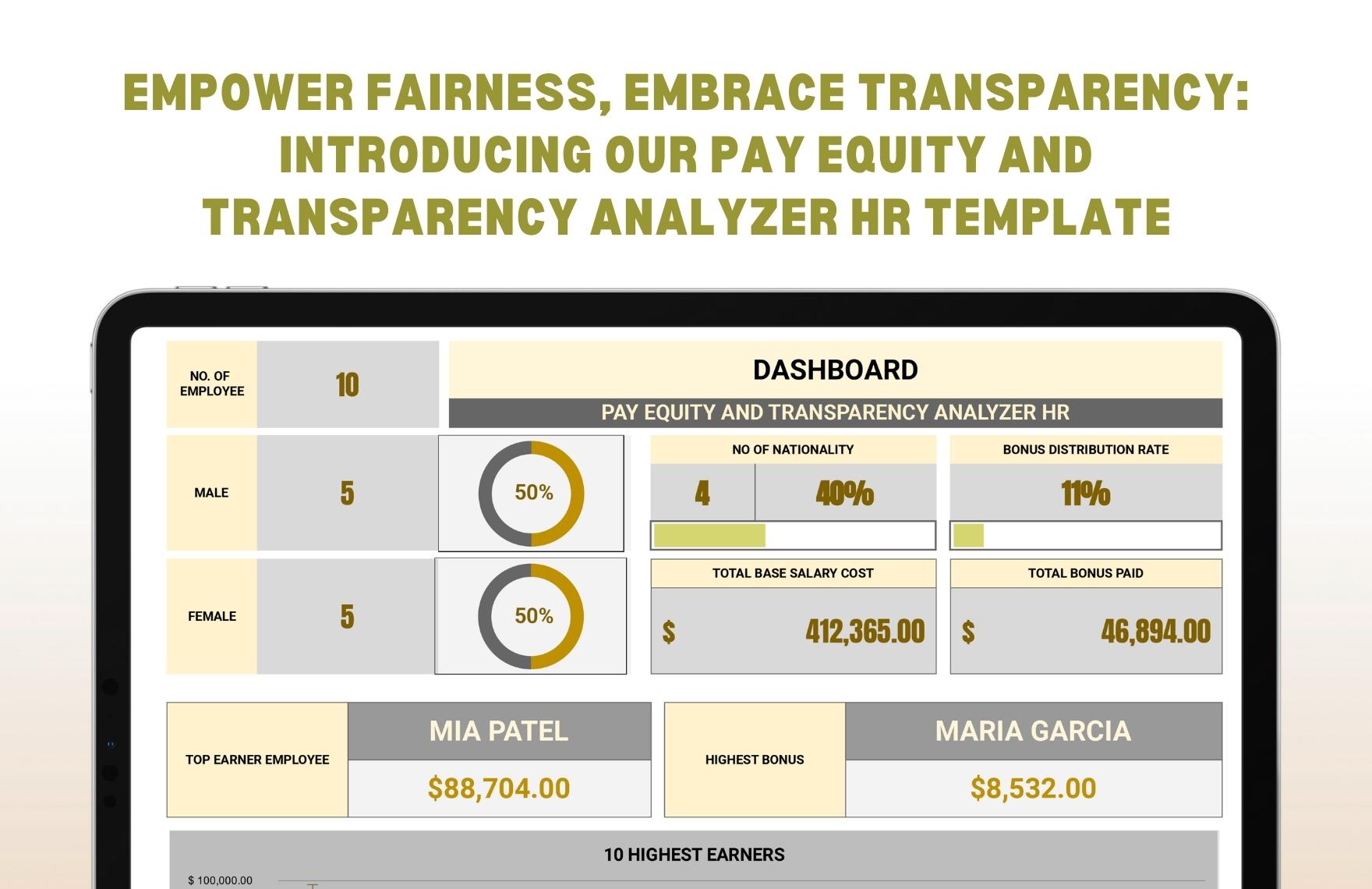 Pay Equity and Transparency Analyzer HR Template