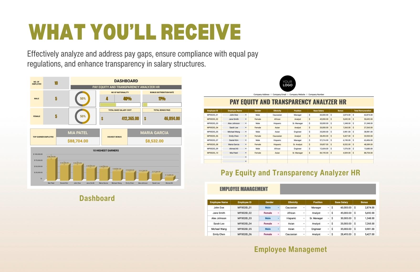 Pay Equity and Transparency Analyzer HR Template in Excel, Google ...