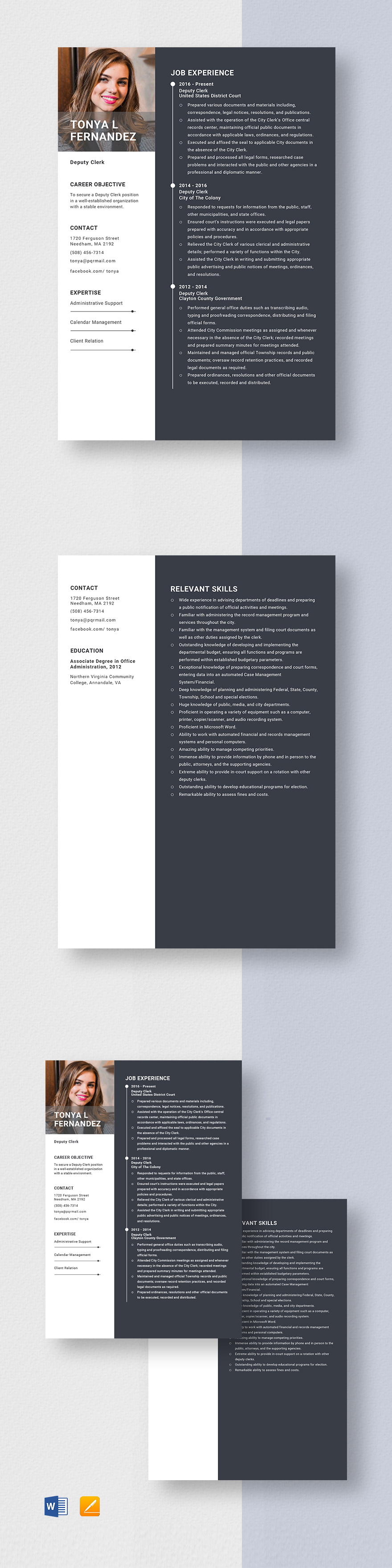 Free Deputy Fire Chief Resume Template Word Apple Pages Template net