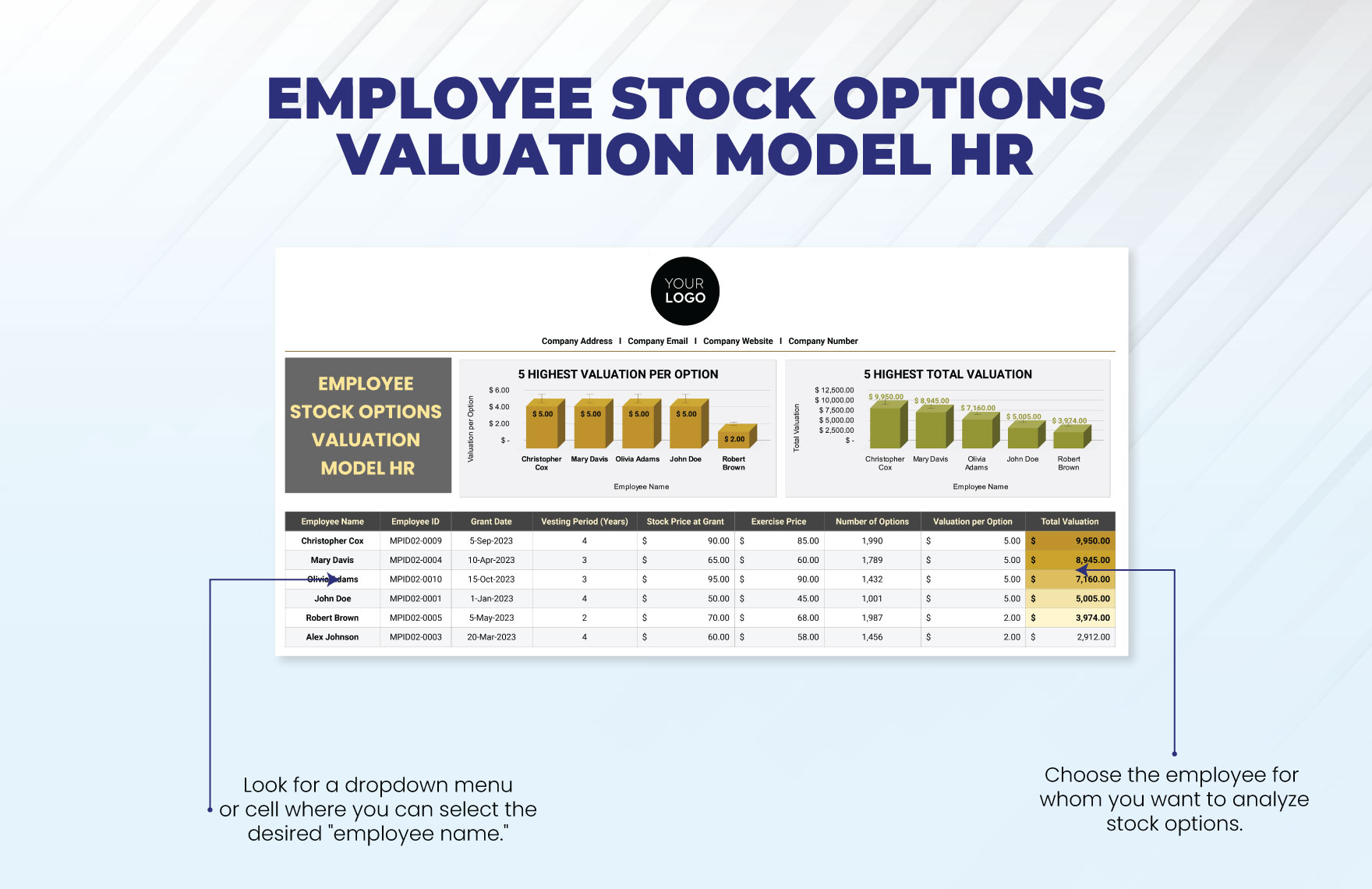 Employee Stock Options Valuation Model HR Template