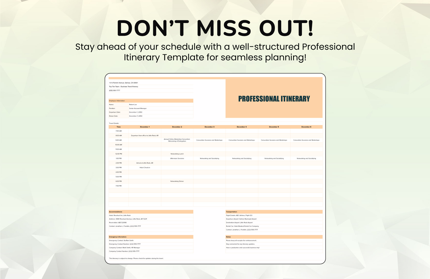 Professional Itinerary Template