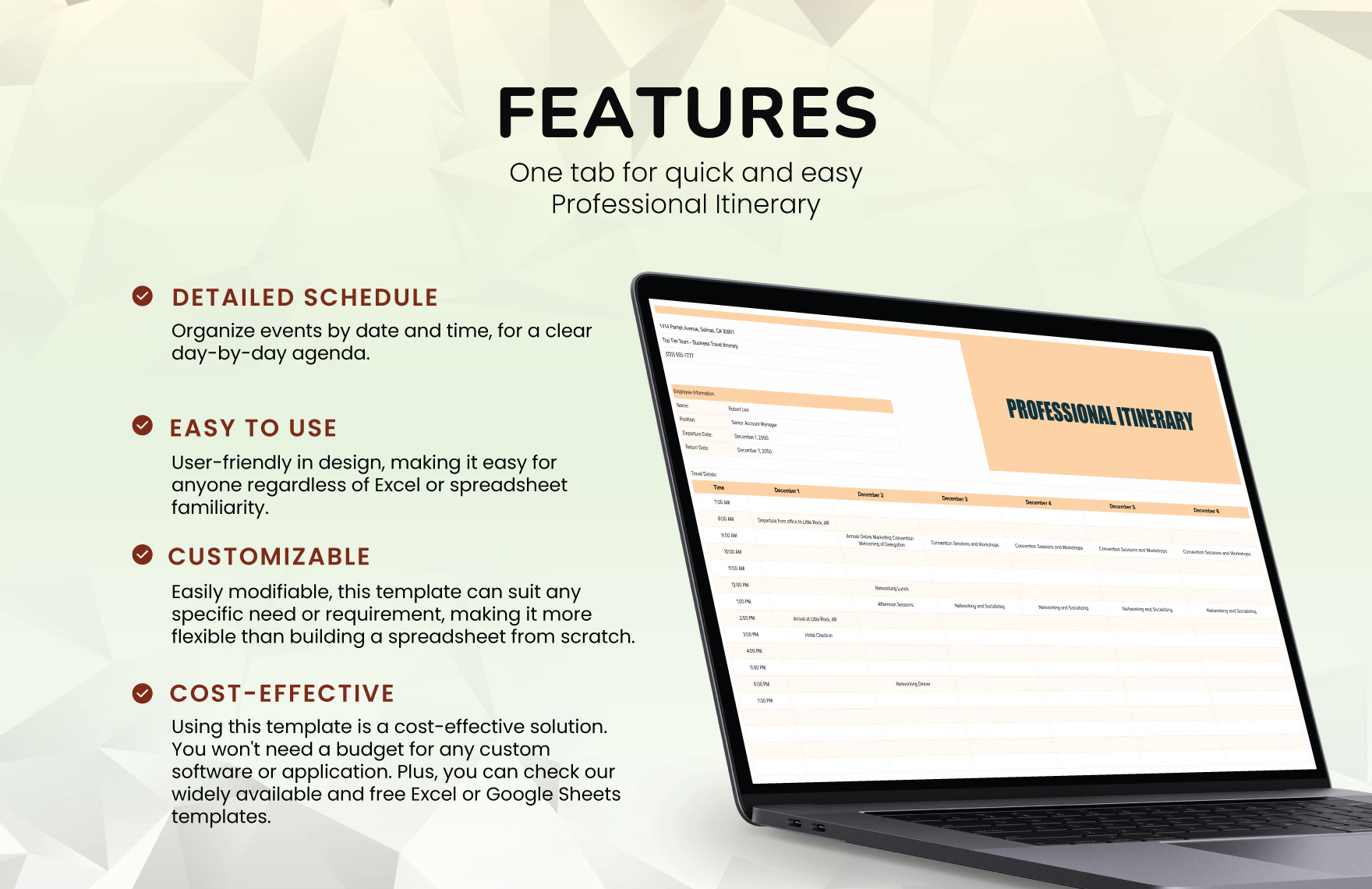 Professional Itinerary Template