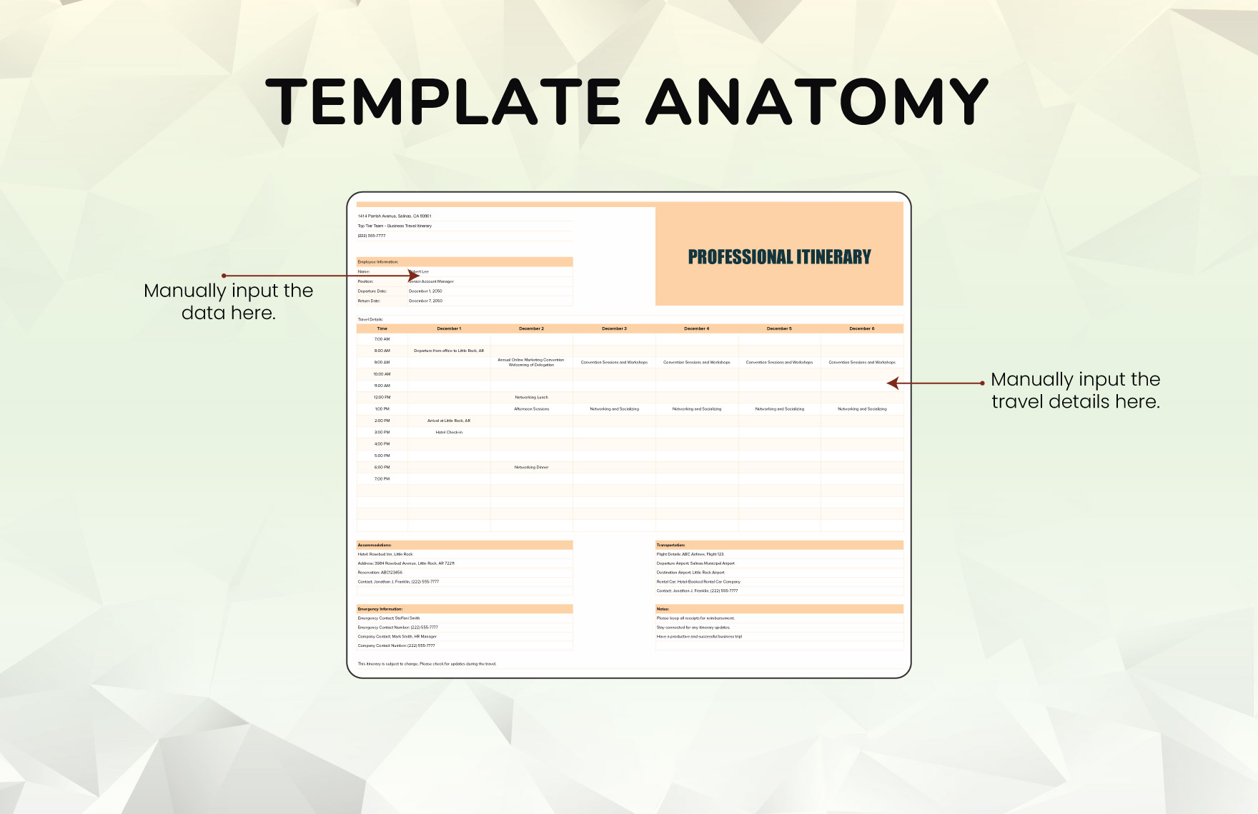Professional Itinerary Template