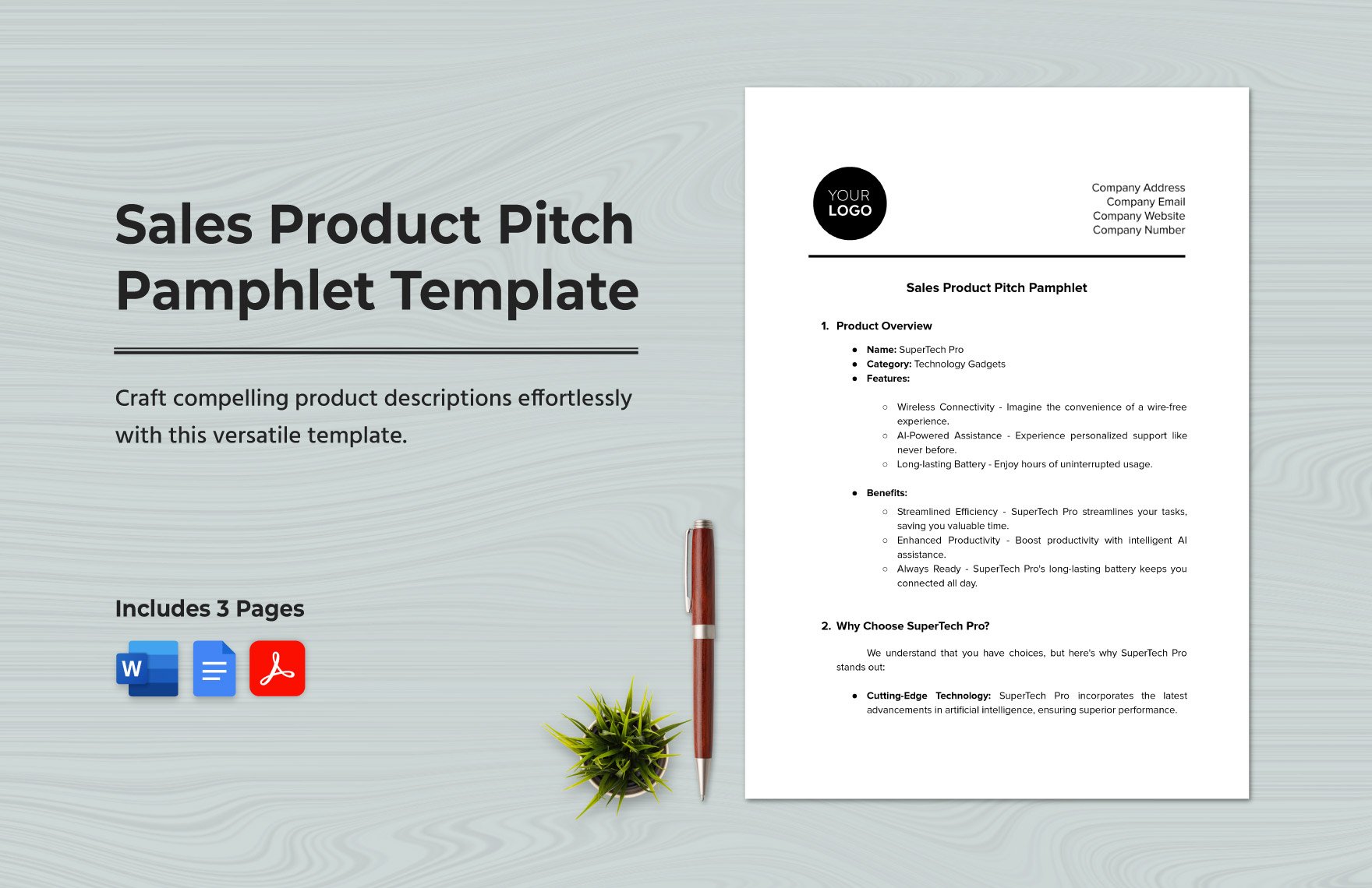 Sales Product Pitch Pamphlet Template in Word, Google Docs, PDF