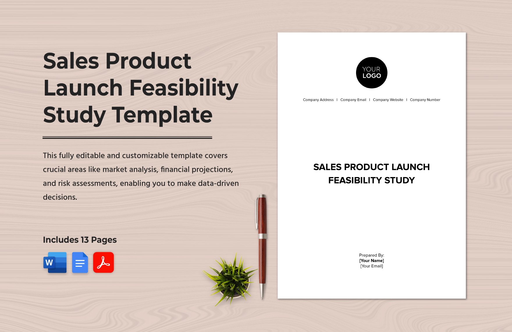 Sales Product Launch Feasibility Study Template in Word, Google Docs, PDF
