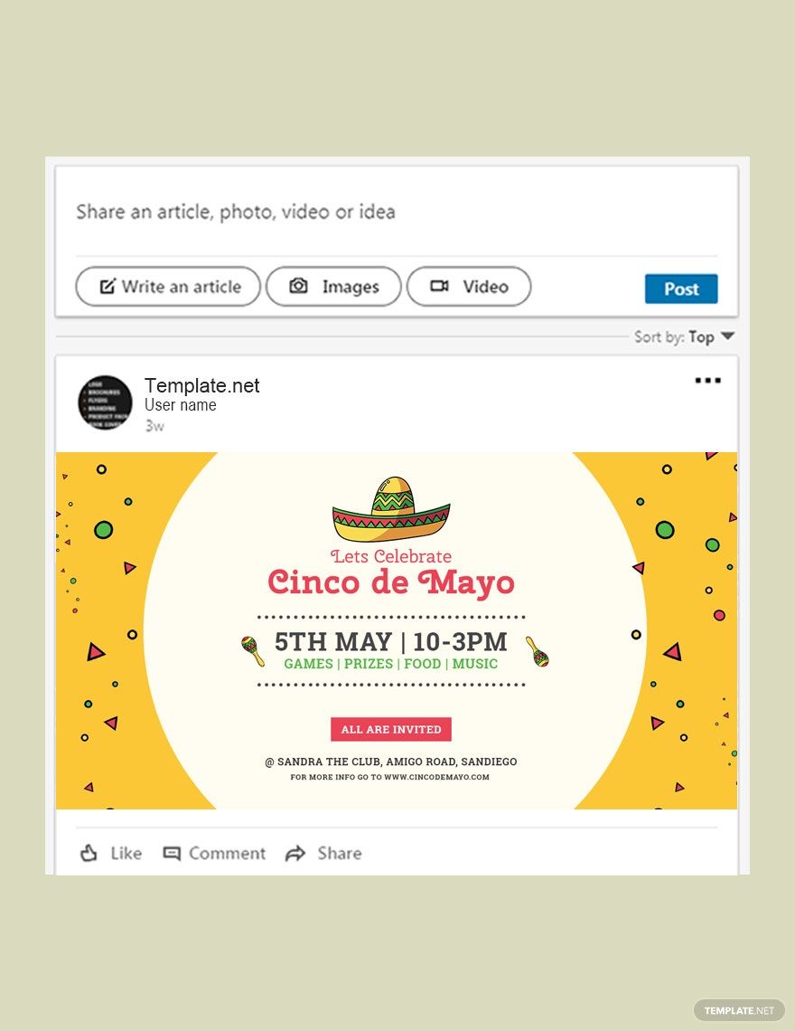 Cinco de Mayo Day LinkedIn Blog Post Template
