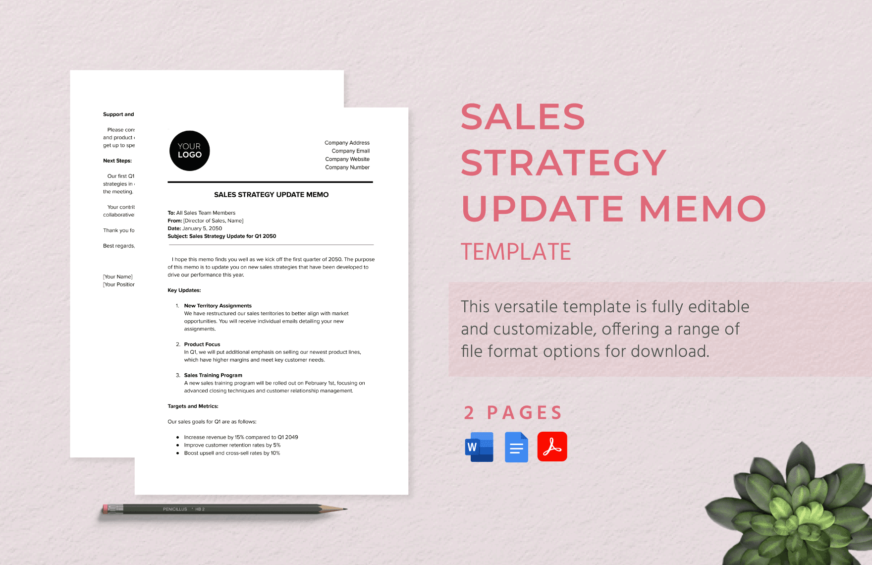 Sales Strategy Update Memo Template
