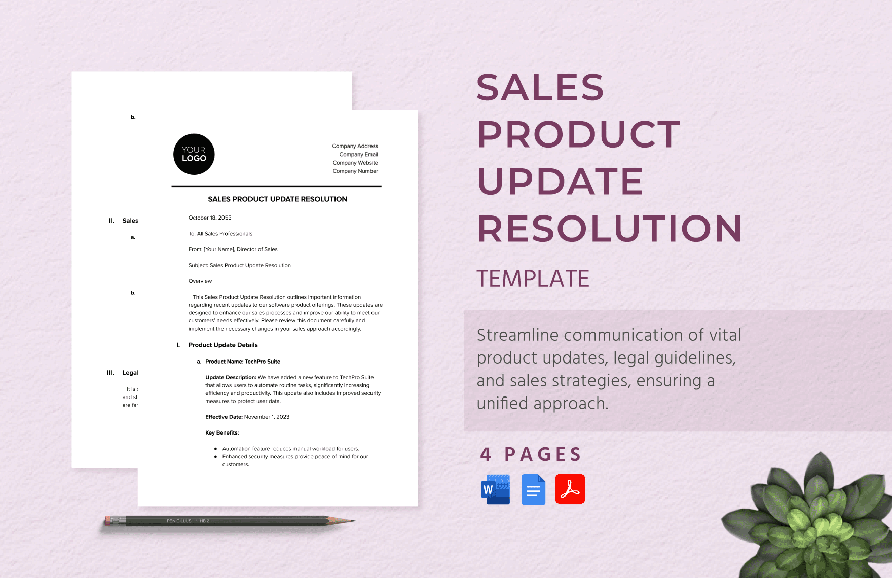 Sales Product Update Resolution Template in Word, Google Docs, PDF