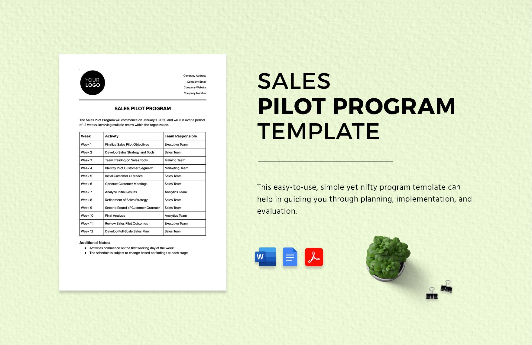 Sales Pilot Program Template in Word, Google Docs, PDF