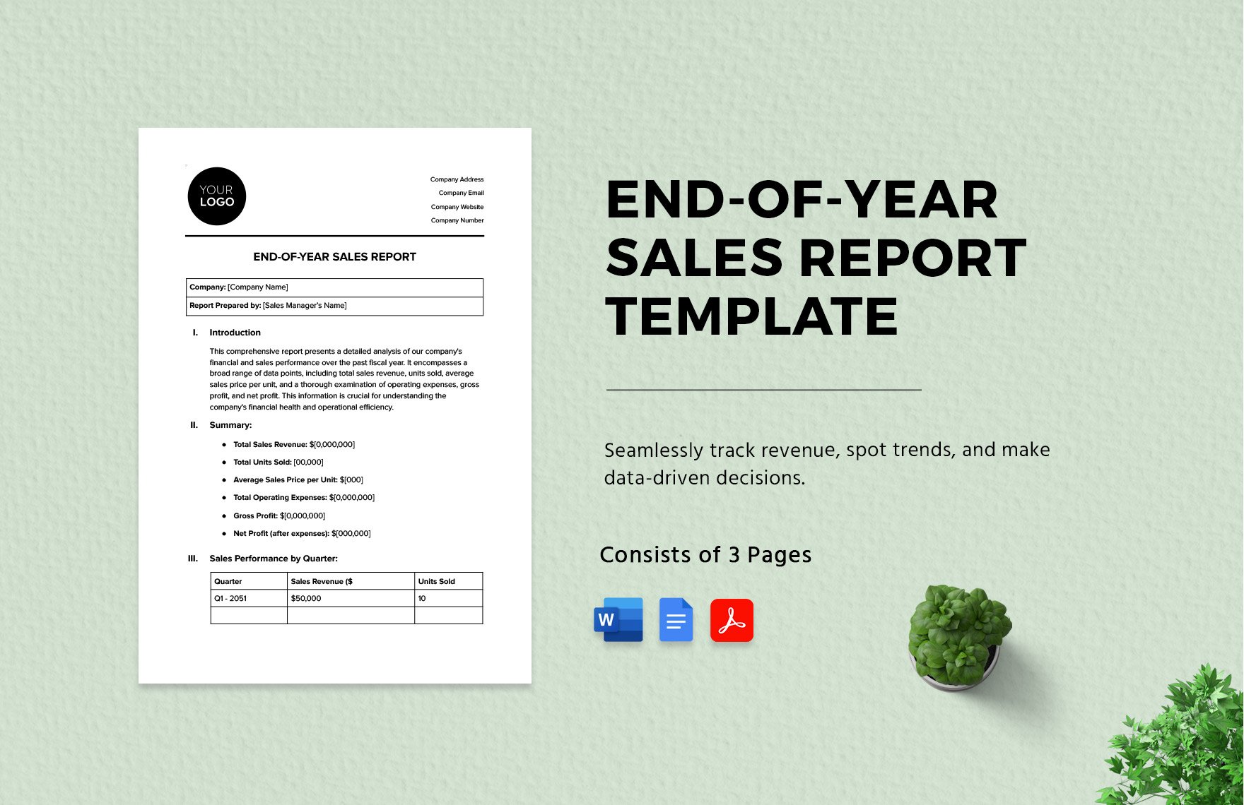 End-of-Year Sales Report Template