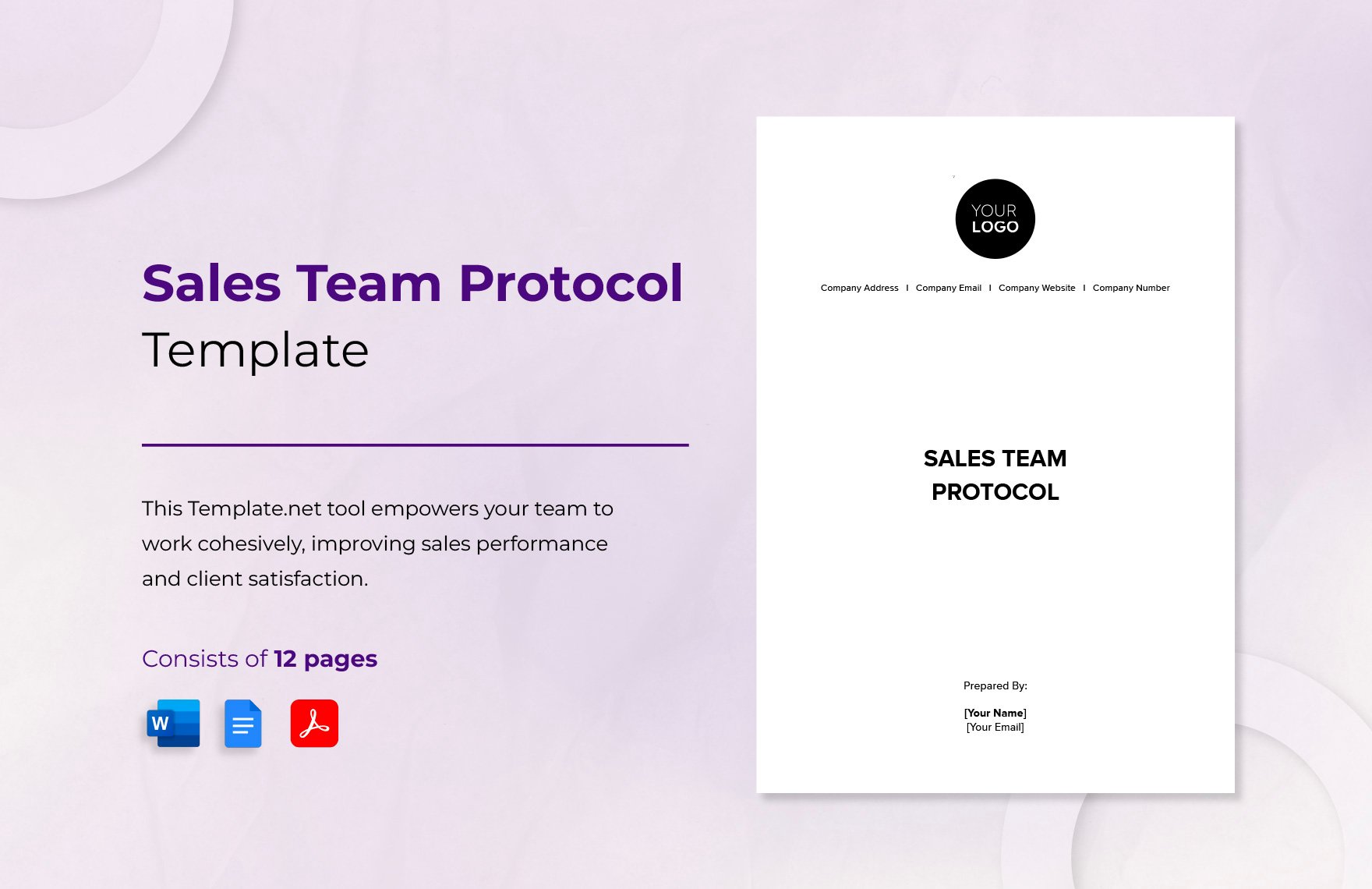 Sales Team Protocol Template