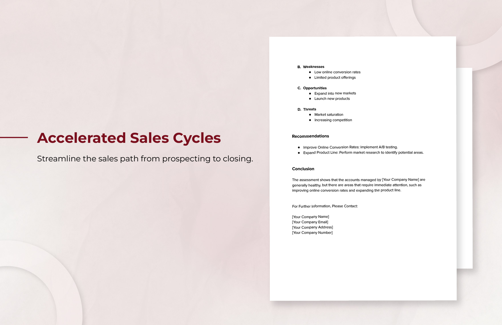 Sales Account Health Assessment Template