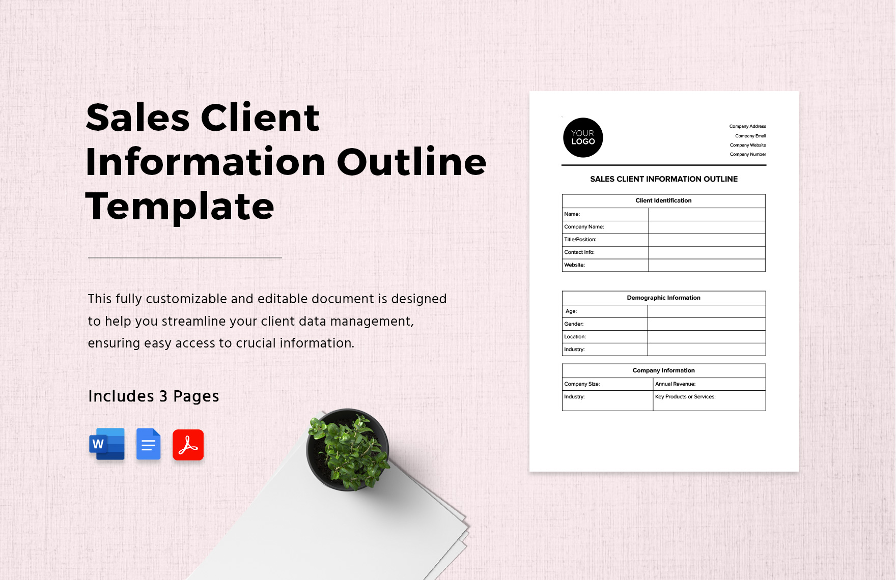 Sales Client Information Outline Template in Word, Google Docs, PDF