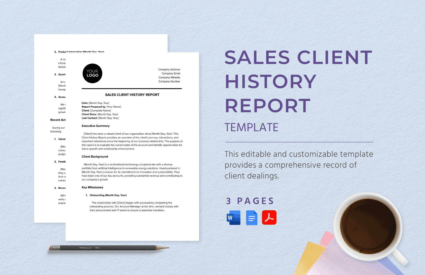 Sales Client History Report Template in Word, Google Docs, PDF