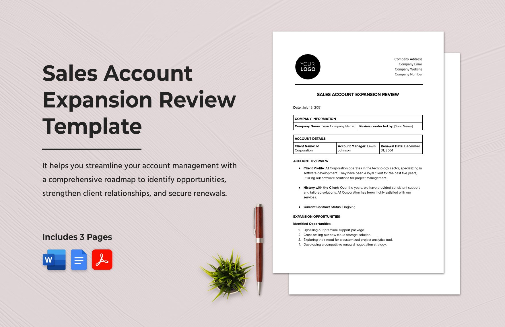 Sales Account Expansion Review Template in Word, Google Docs, PDF