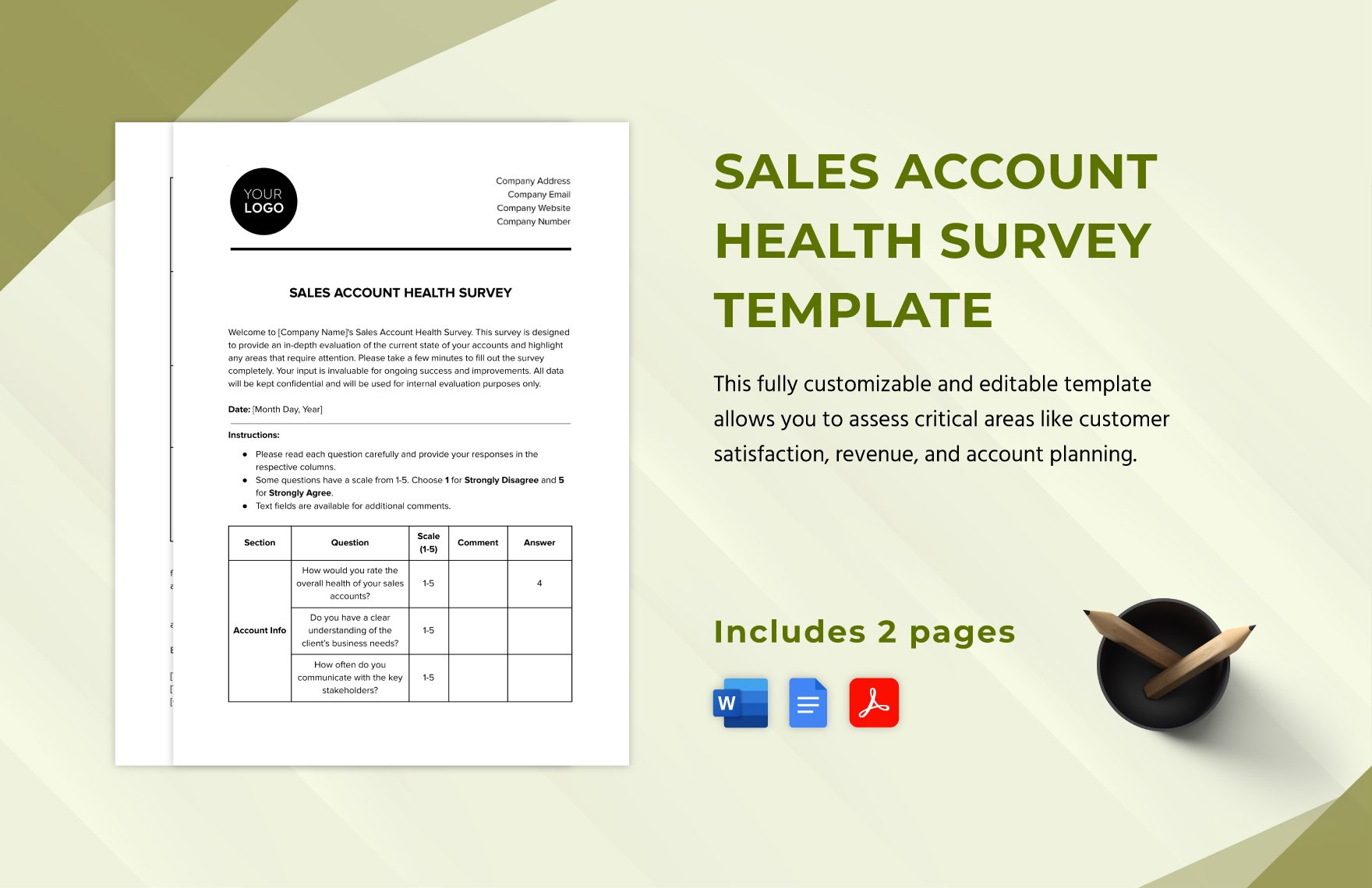 Sales Account Health Survey Template in Word, Google Docs, PDF