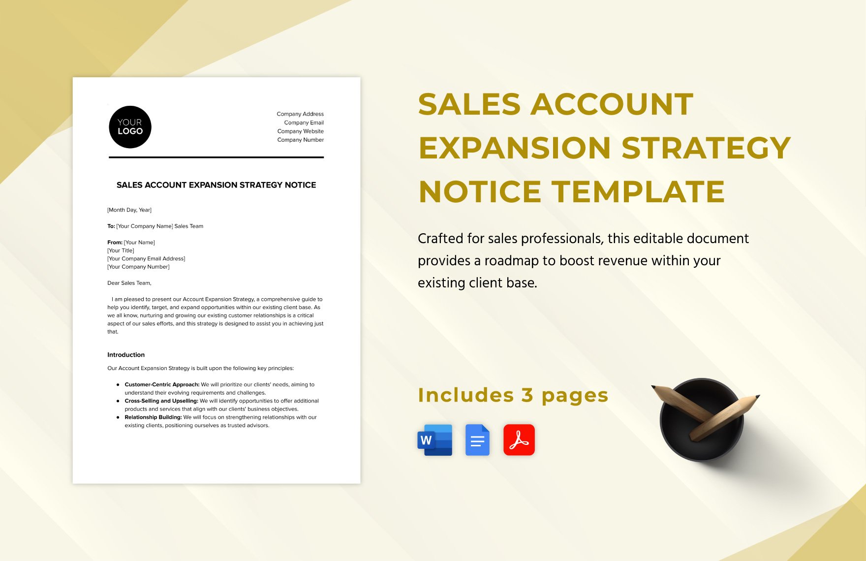 Sales Account Expansion Strategy Notice Template in Word, Google Docs, PDF