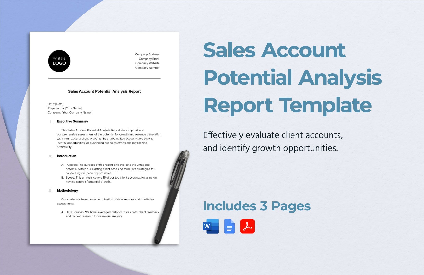 Sales Account Potential Analysis Report Template