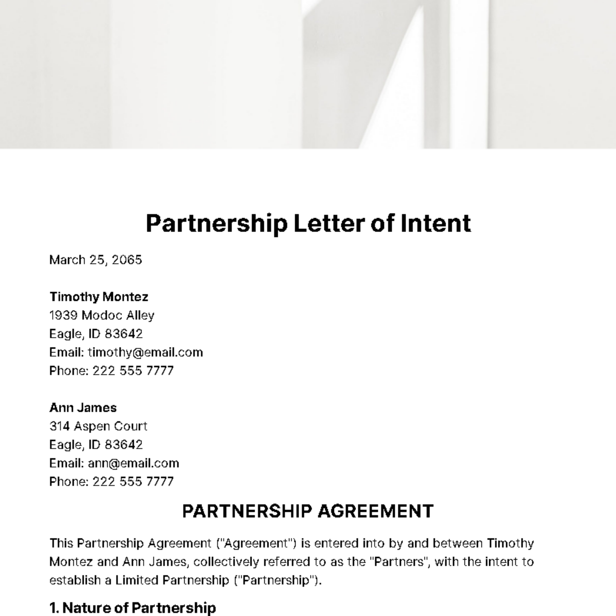 Free Partnership Letter of Intent