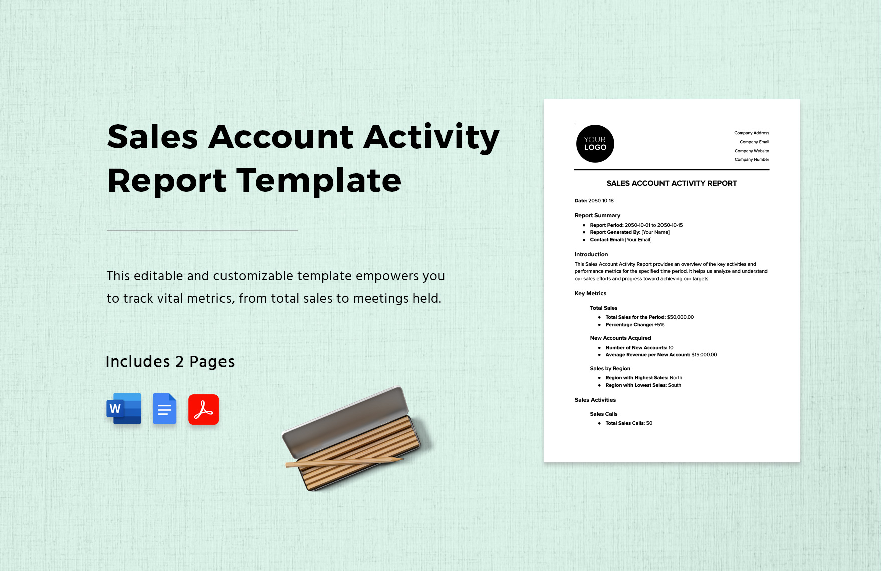 Sales Account Activity Report Template in Word, Google Docs, PDF