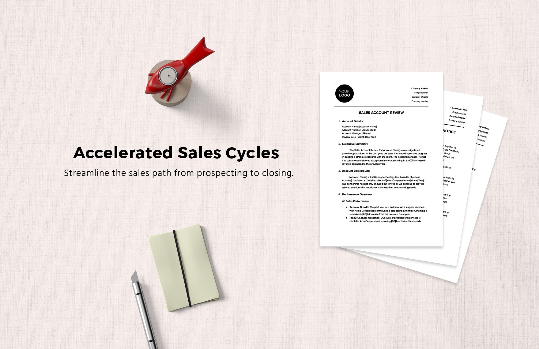 Sales Account Review Template in Word PDF Google Docs Download