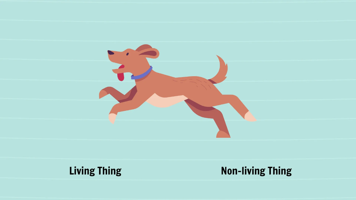 Free Living and Non-living Things Template to Edit Online