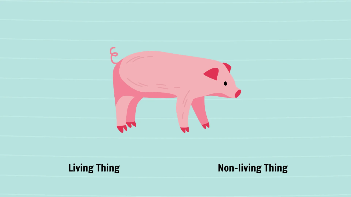 Free Living and Non-living Things Template to Edit Online