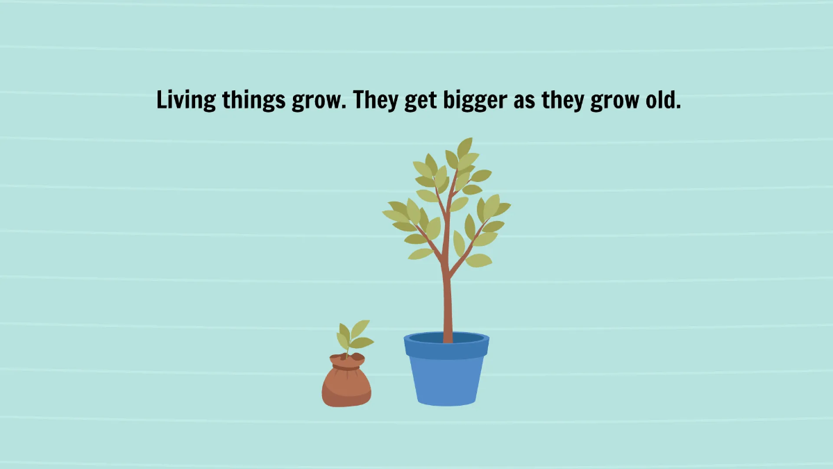 Free Living and Non-living Things Template to Edit Online