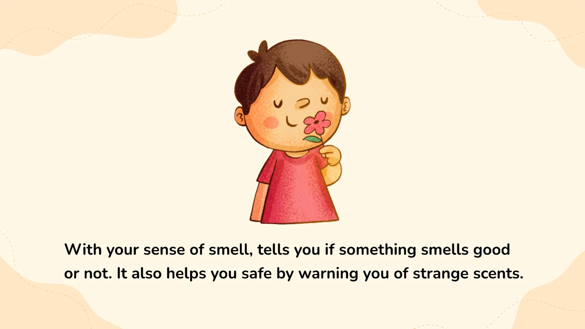 Free The Five Senses Template to Edit Online