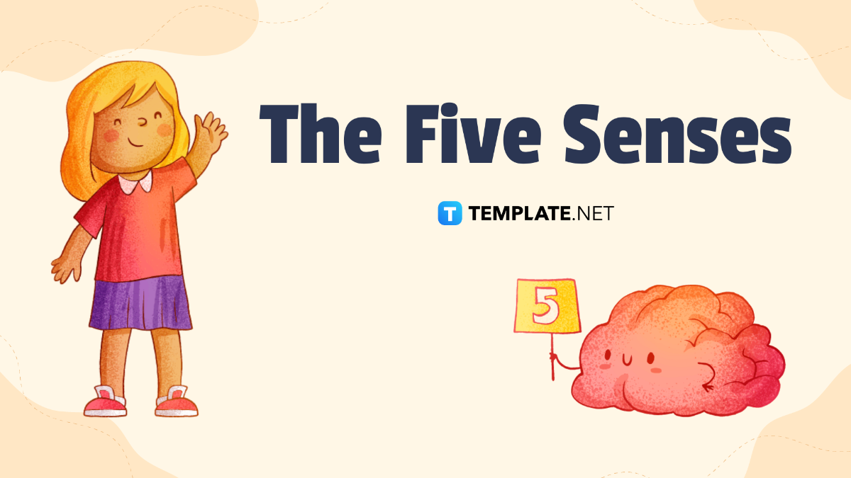 The Five Senses Template