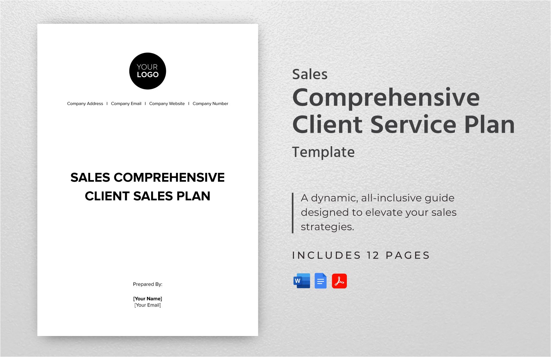 Sales Comprehensive Client Service Plan Template in Word, Google Docs, PDF