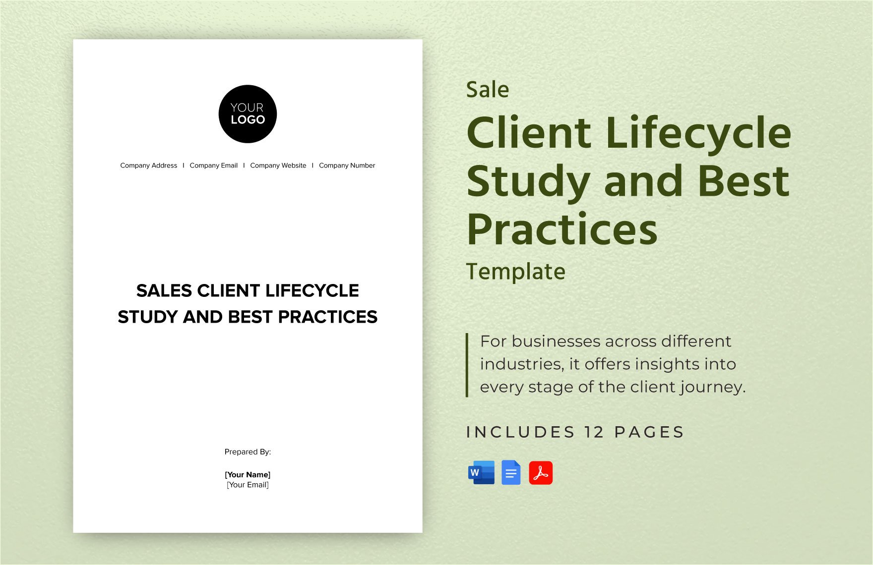 Sales Client Lifecycle Study and Best Practices Template
