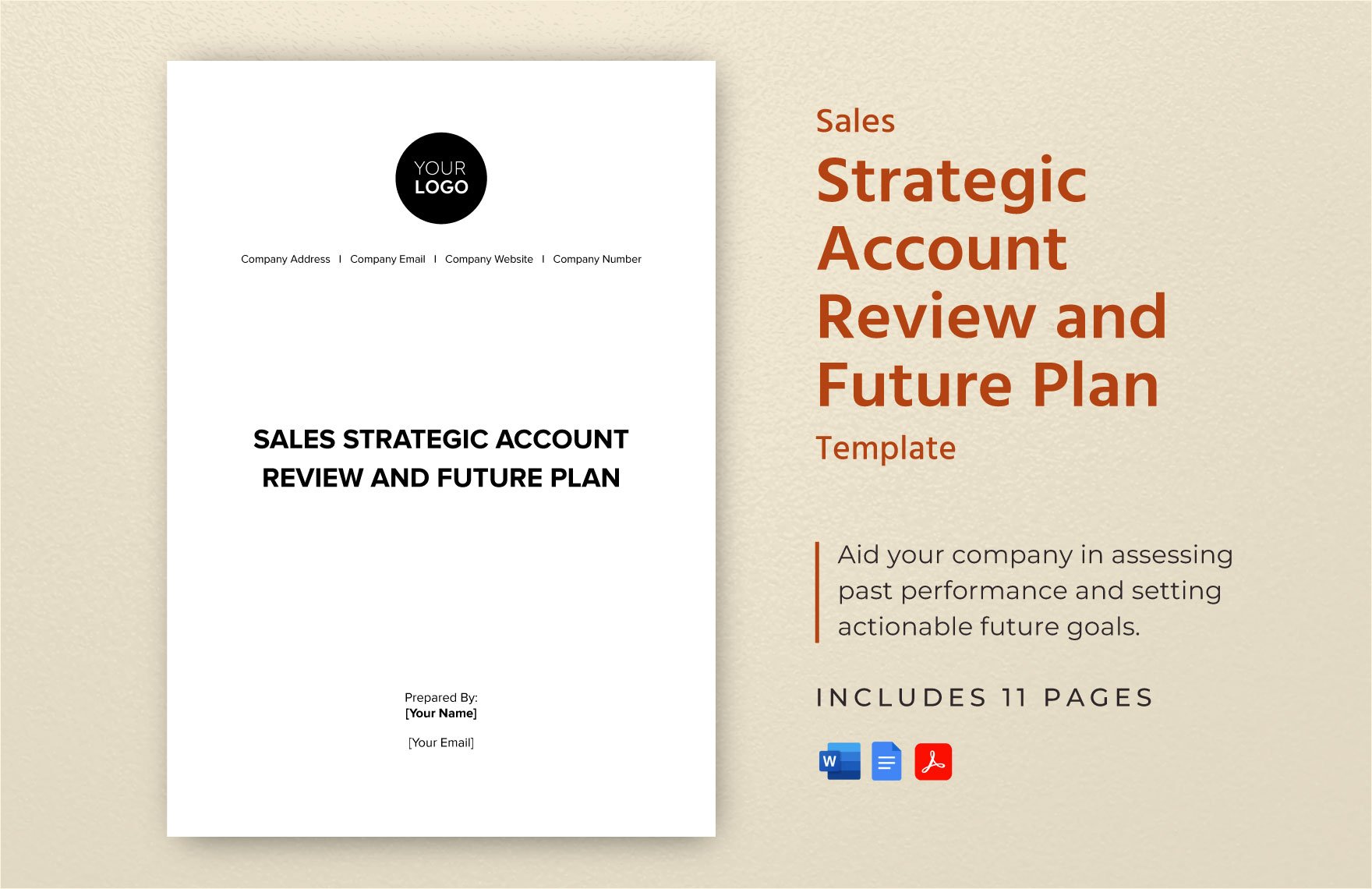 Sales Strategic Account Review and Future Plan Template