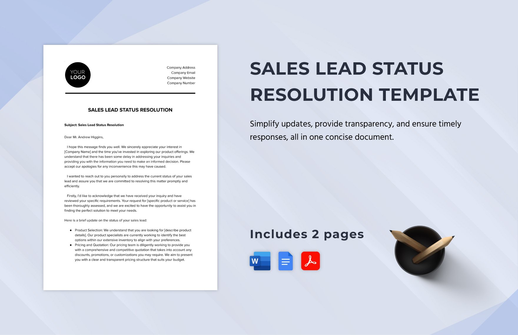 Sales Lead Status Resolution Template in Word, Google Docs, PDF