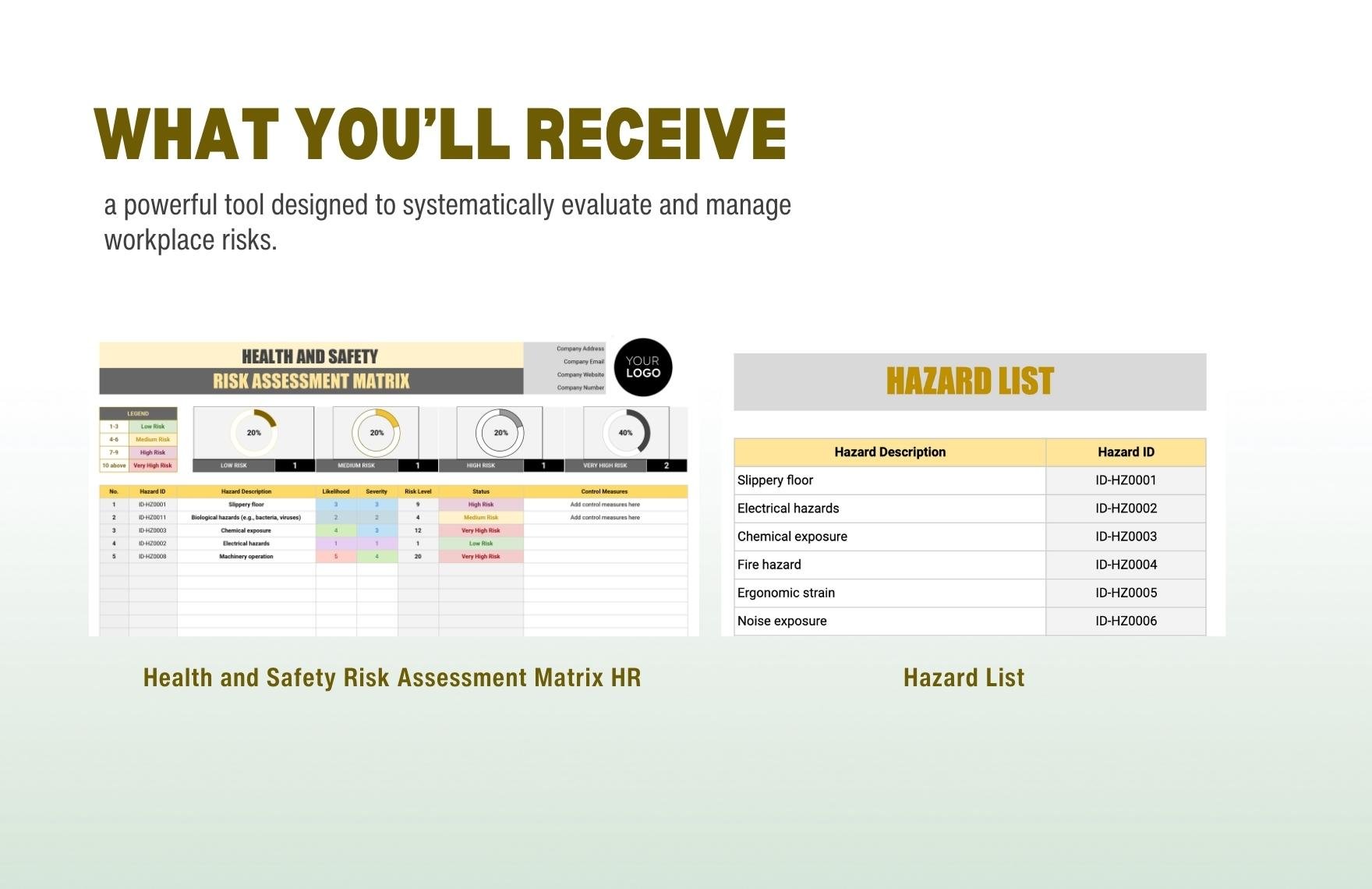 Health and Safety Risk Assessment Matrix HR Template