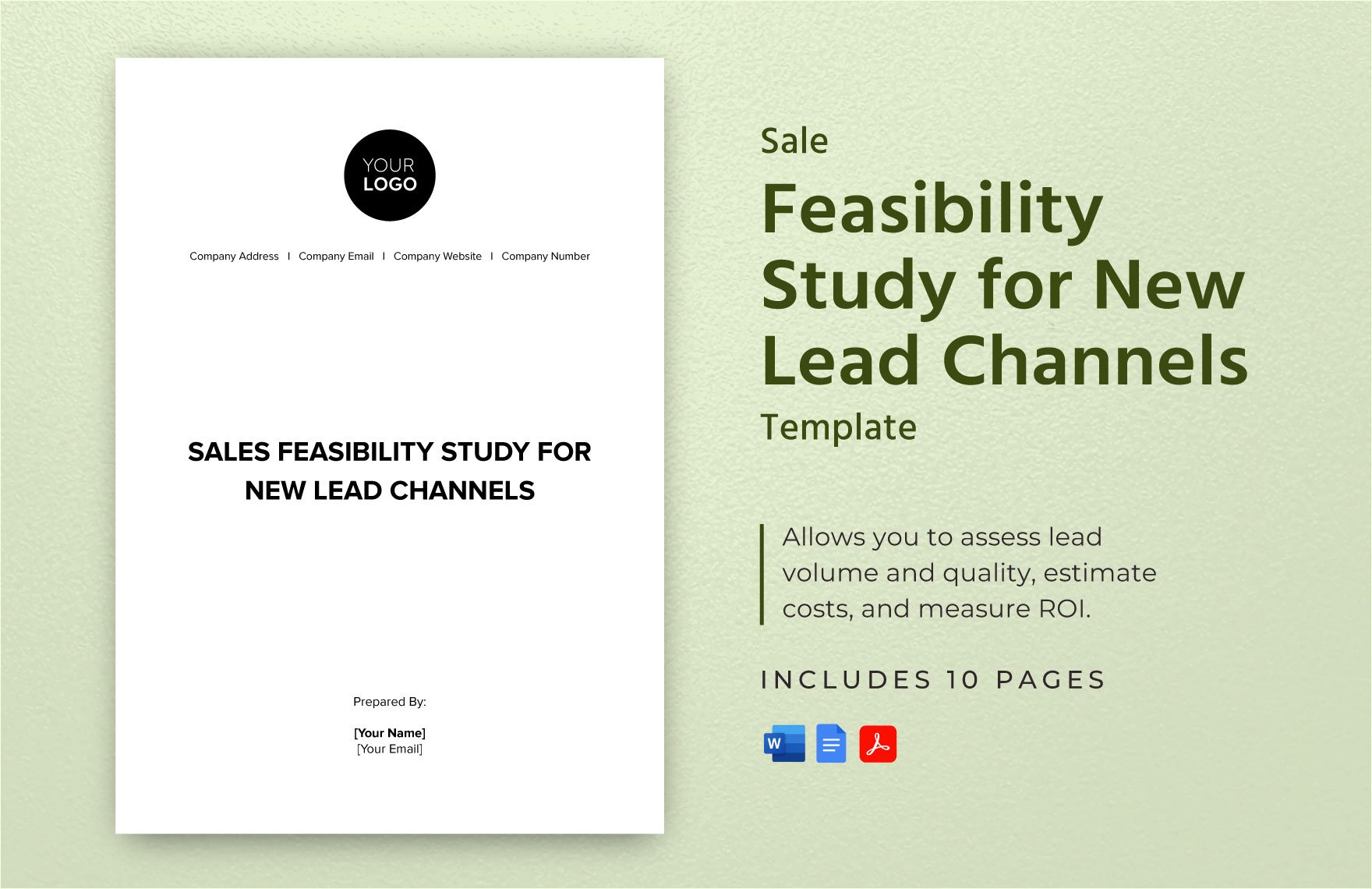 Sales Feasibility Study for New Lead Channels Template in Word, Google Docs, PDF