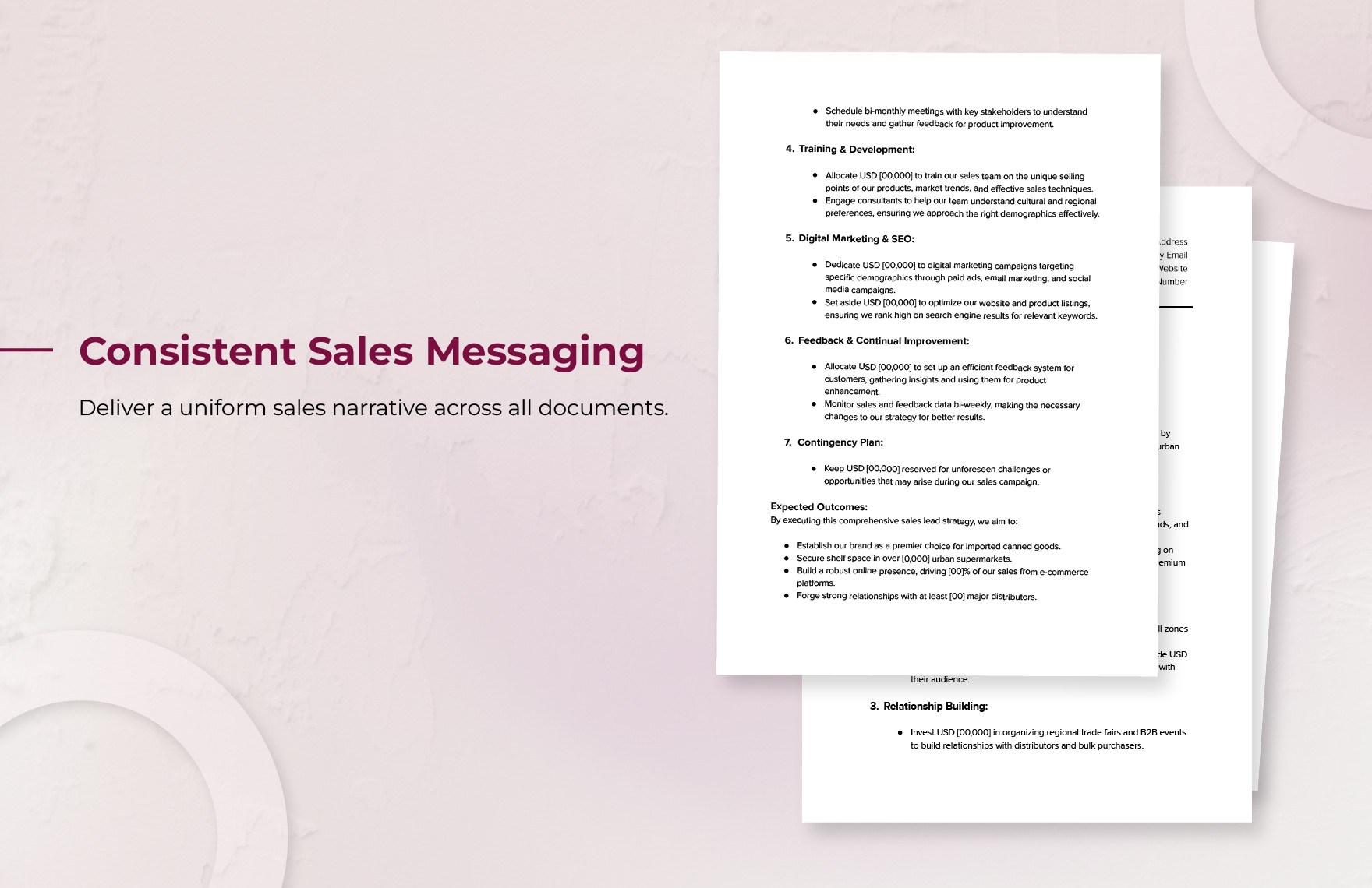 Sales Lead Strategy Statement Template