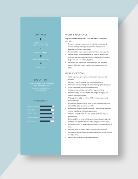 digital poducer resume