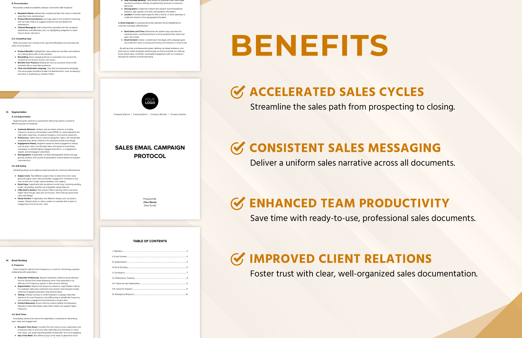 Sales Email Campaign Protocol Template