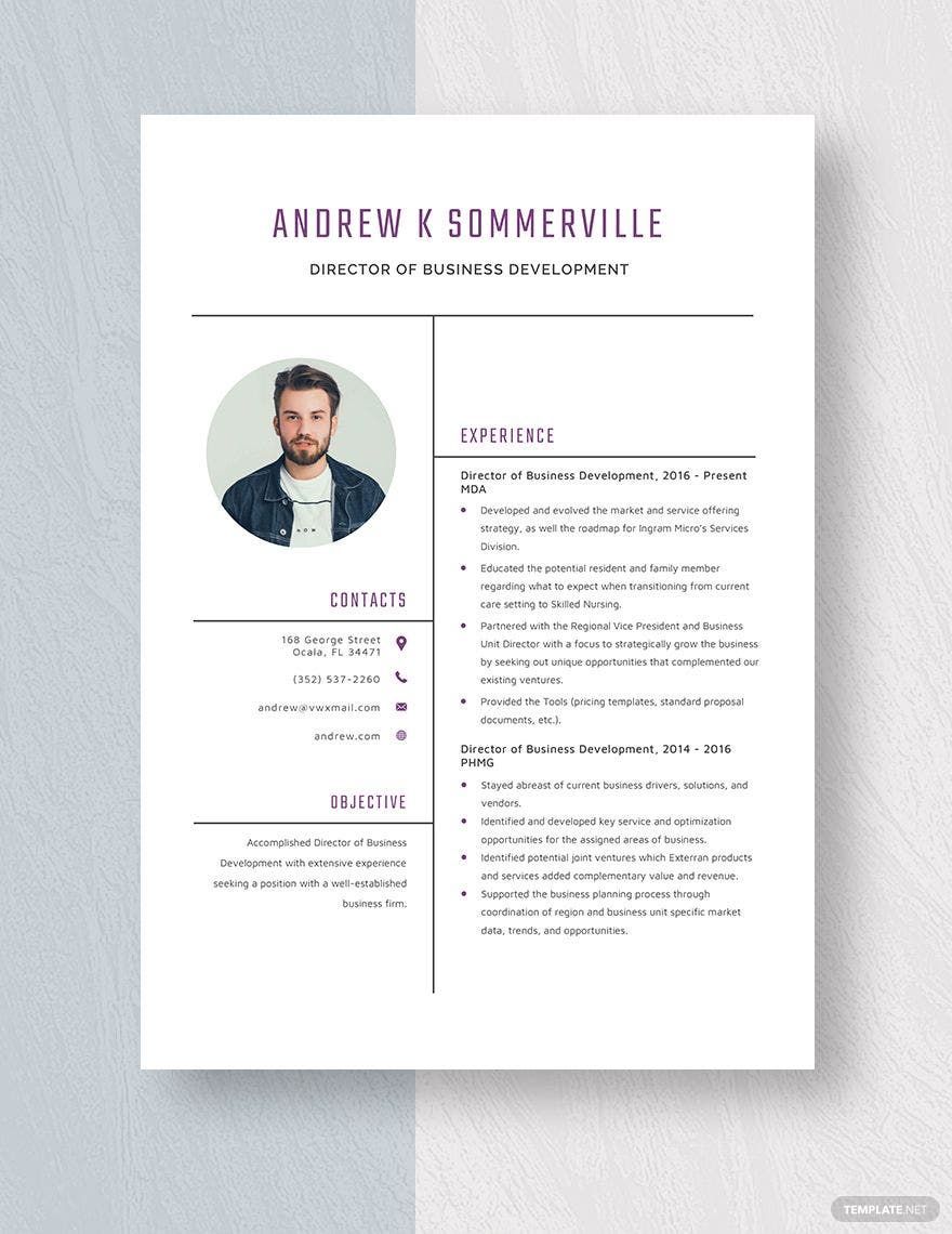 Director of Business Development Resume Template - Word, Apple Pages ...