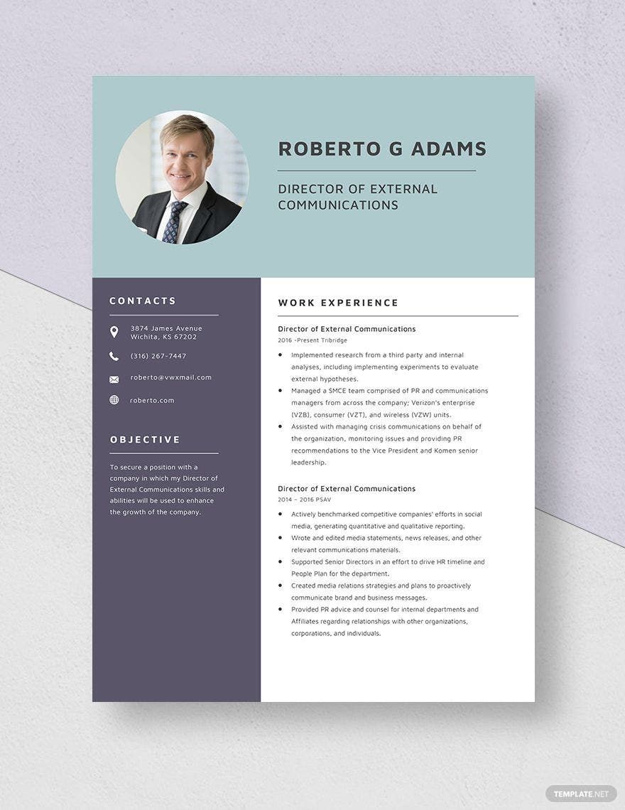 Director of External Communications Resume Template