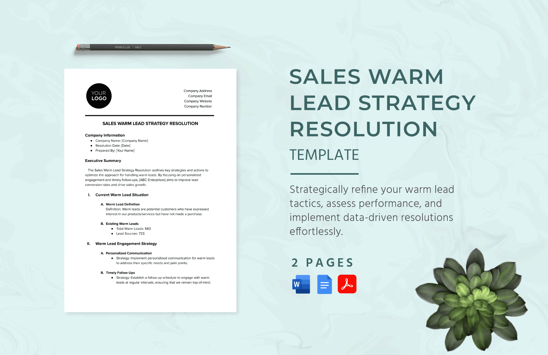 Sales Warm Lead Strategy Resolution Template
