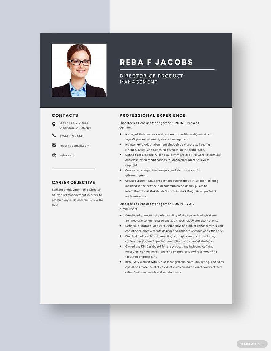 Director of Product Management Resume