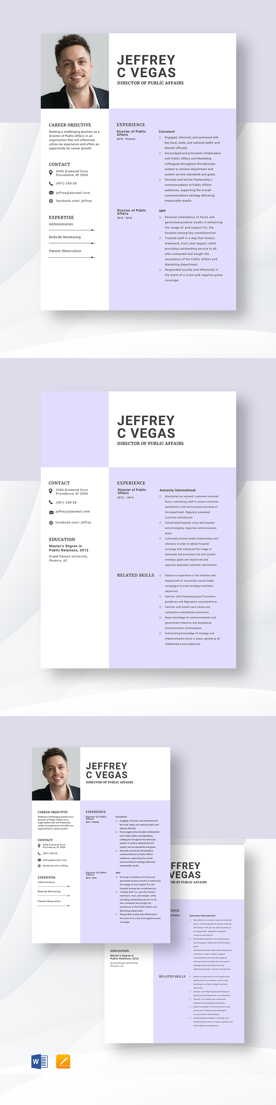 Free Director Of Public Affairs Resume Template Word Apple Pages 