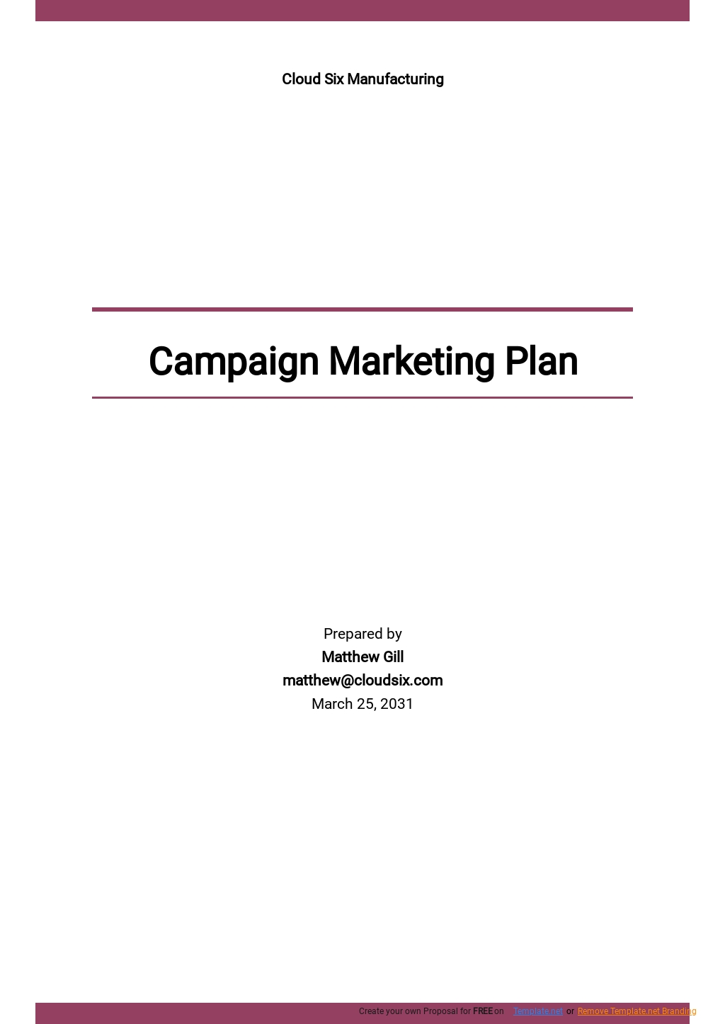 Direct Marketing Campaign Plan Template - Google Docs, Word, Apple ...