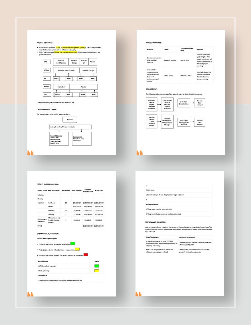 Healthcare Operational Plan Template