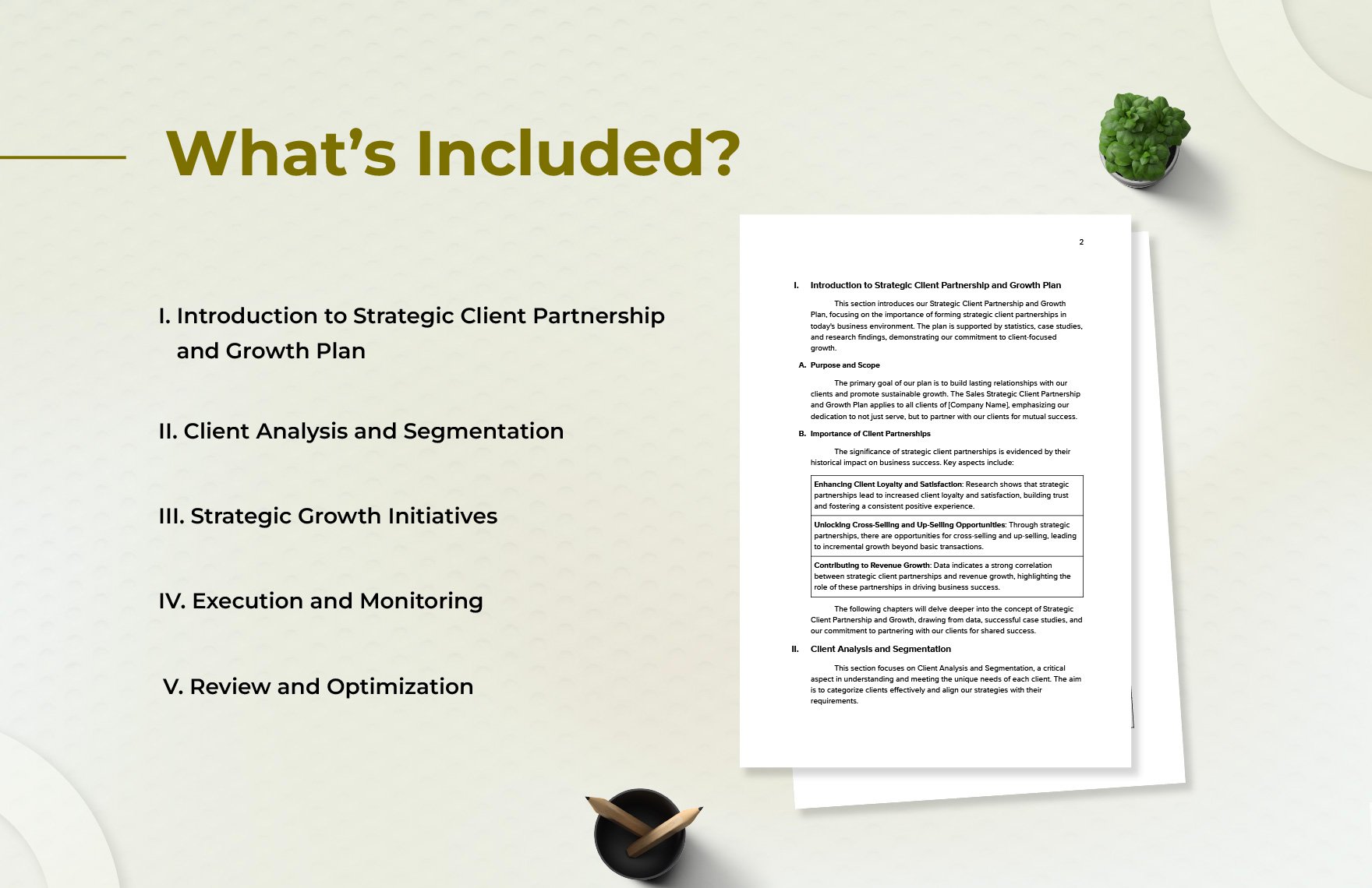 Sales Strategic Client Partnership and Growth Plan Template