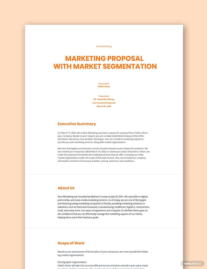 Segmentation Marketing Plan Template