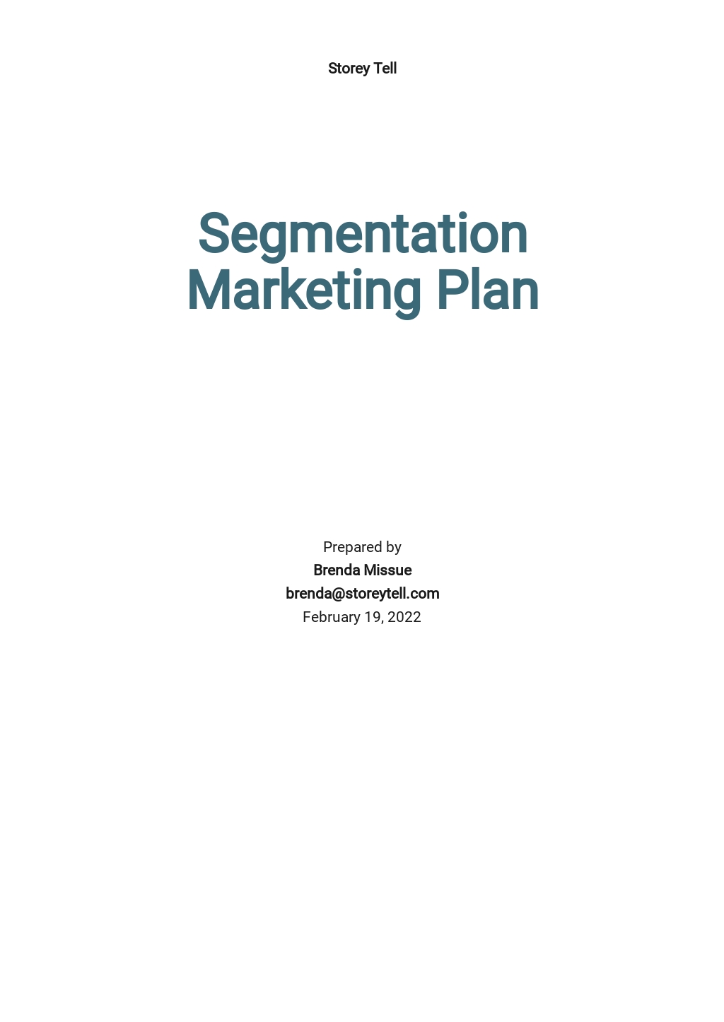 Segmentation Marketing Plan Template [Free PDF] - Word | Google Docs