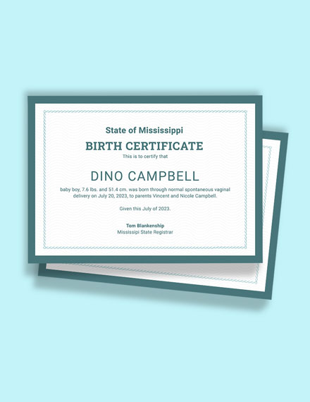 Basic Birth Certificate Template - Google Docs, Illustrator, Word, Apple Pages, PSD, Publisher